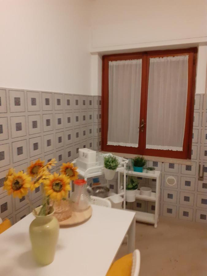 Damiani House *